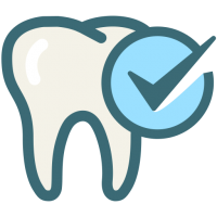 Dental Anatomy