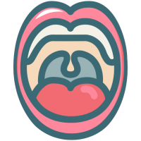Oral Physiology