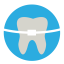 Dental Crowns Studies