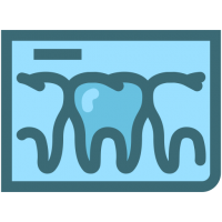 Dental Bridges Studies