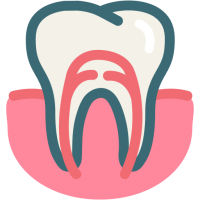 Dental Fractures